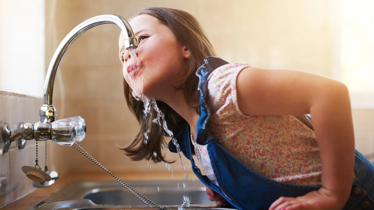 Woher kommt unser Trinkwasser? Herkunft, Aufbereitung, Qualität