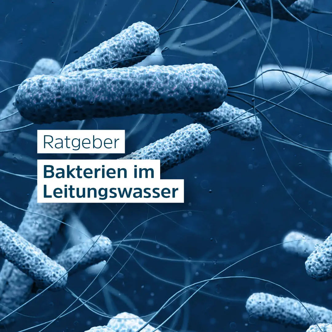 Bakterien im Trinkwasser: Arten, Symptome und Grenzwerte