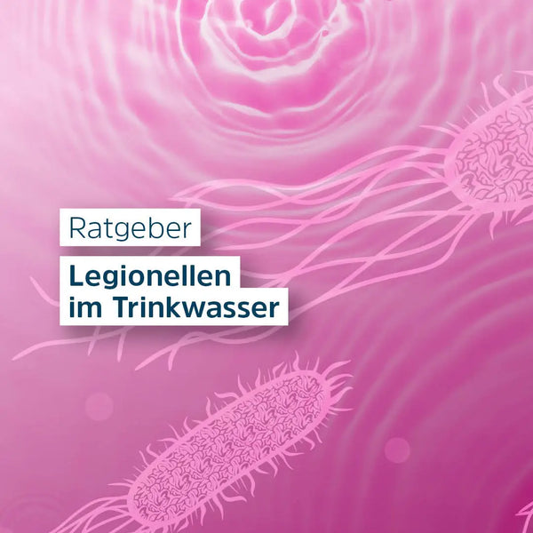 Legionellen im Trinkwasser