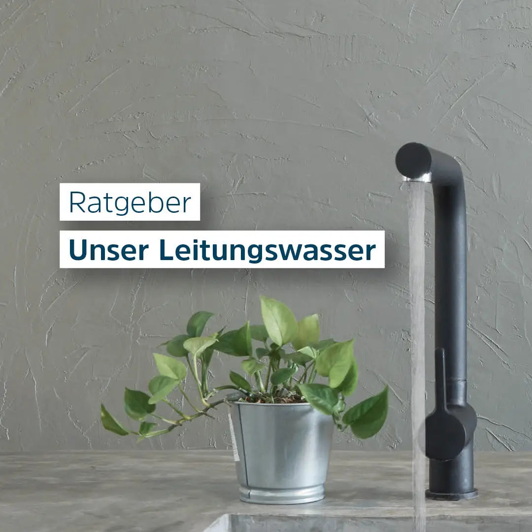 Woher kommt unser Trinkwasser? Herkunft, Aufbereitung, Qualität
