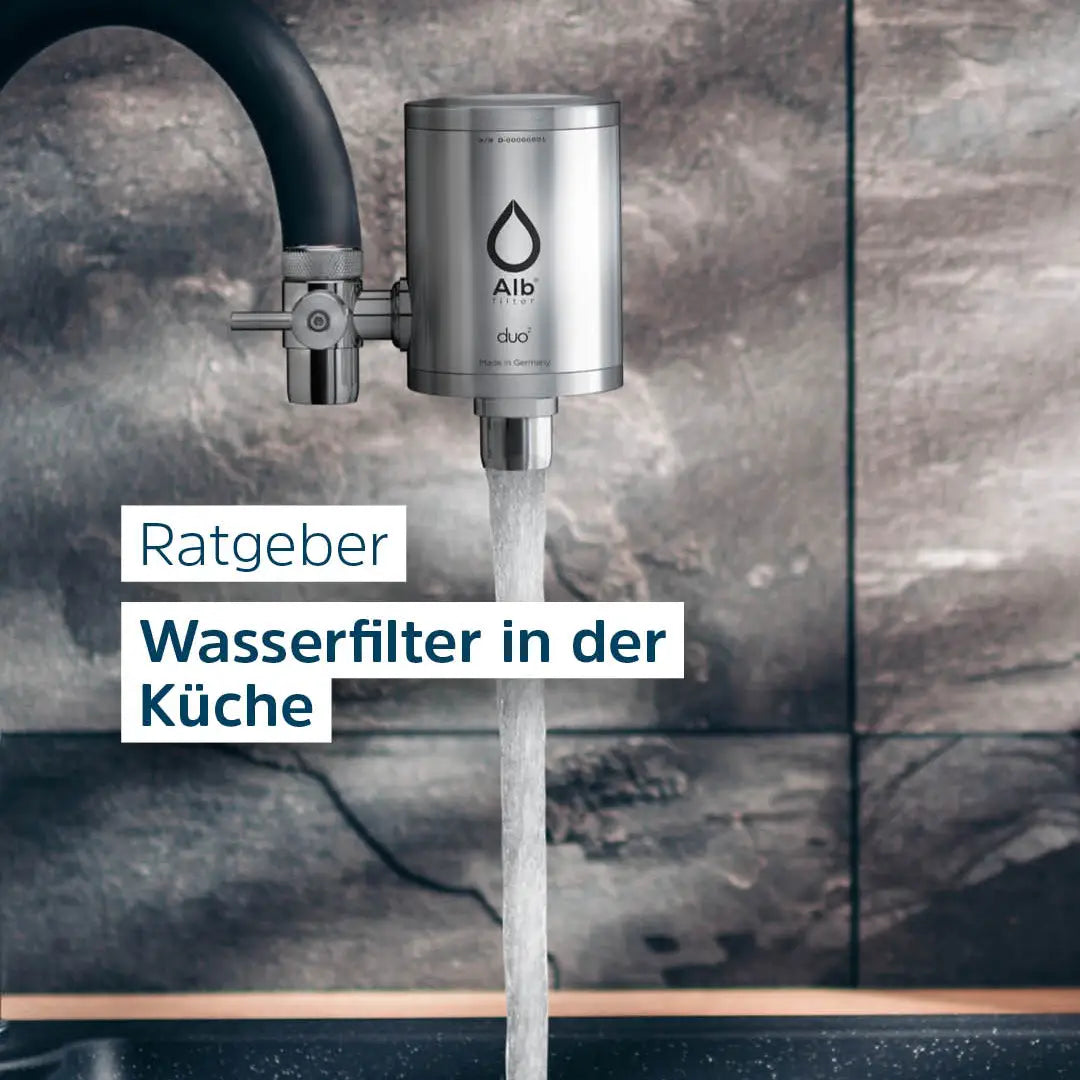 Wasserfilter für die Küche: die 4 Bauarten und ihre Grenzen