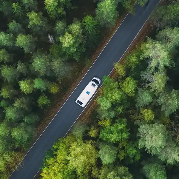 Camper-Top-Strasse-Wald-Topbanner-Landing-600x600.webp__PID:f6a5a5f0-2eba-4f8b-80bd-a5e4871c517d