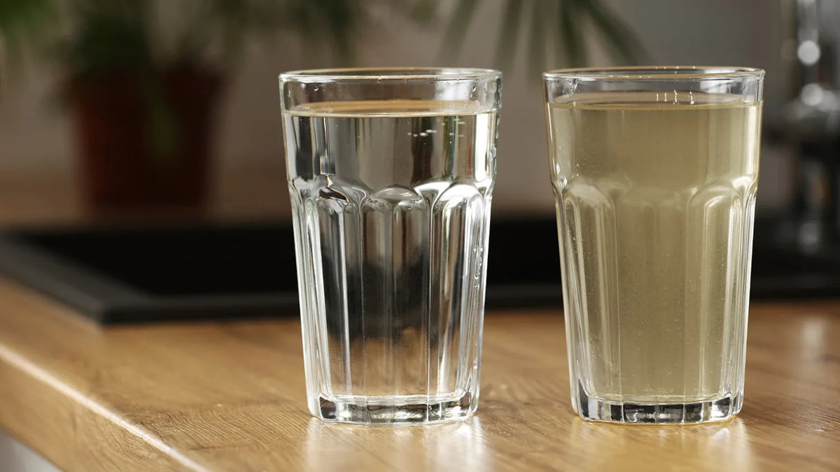 Wasserfilter im Einsatz: Ein Aktivkohle-Blockfilter entfernt bis zu 99 % von Chlor, Mikroplastik, Hormonen und Medikamentenrückständen aus dem Trinkwasser.