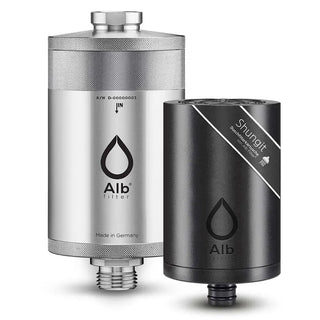 Alb Shungit shower filter in stainless steel color and Protect module