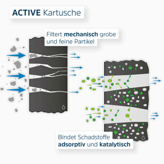 Schematic diagram of Active cartridge with description of filter performance