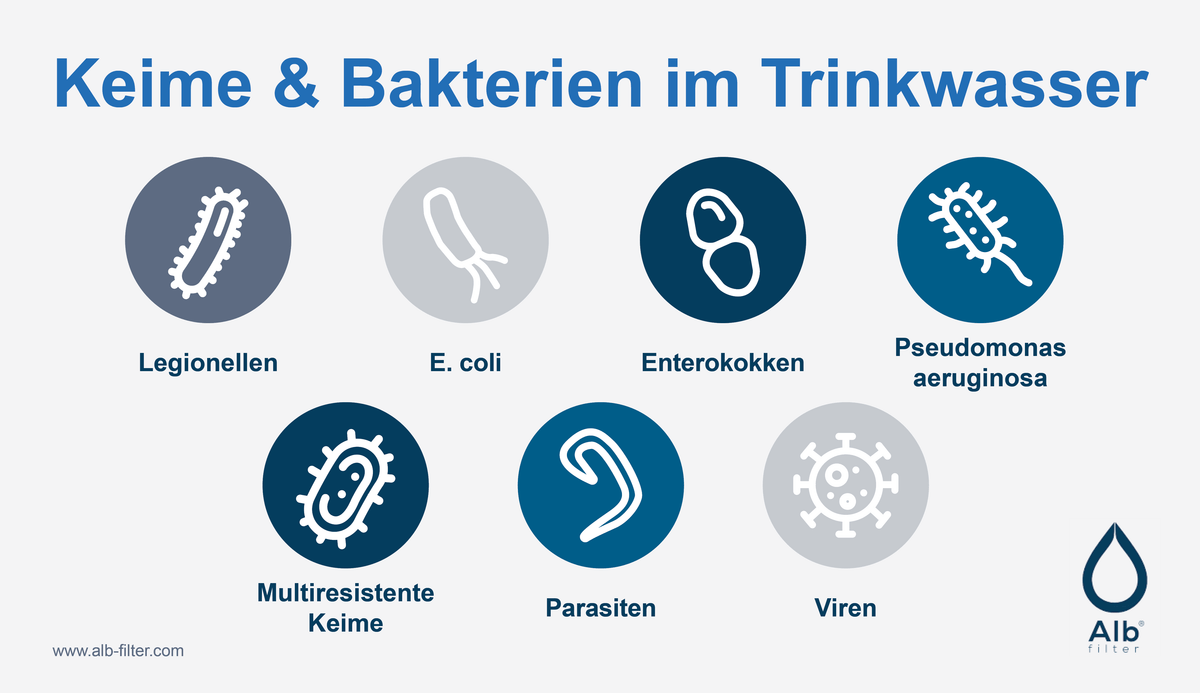 Keime und Bakterien im Trinkwasser: Für Legionellen, E. coli und weitere Erreger gilt laut Trinkwasserverordnung ein Grenzwert von 0 Kolonien je 100 ml.