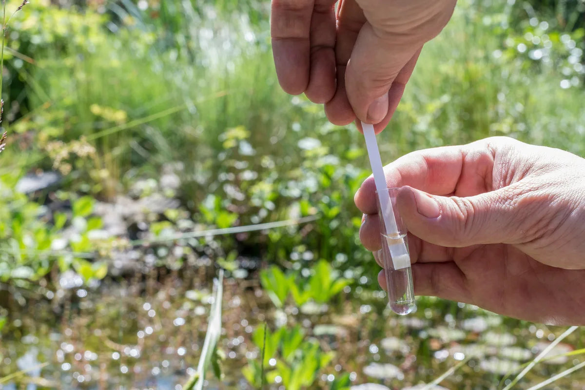 pH-Wert-Analyse mit Teststreifen