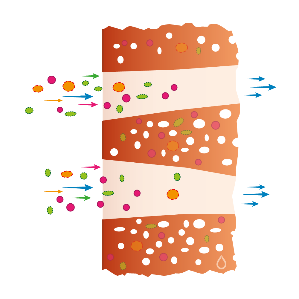 Grafik zur Adsorption: Gelöste Stoffe im Wasser haften an der inneren Porenoberfläche der Aktivkohle und reichern sich dort an.