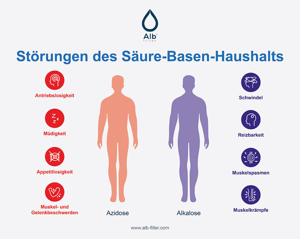 Grafik zu Azidose und Alkalose: Der pH-Wert des Bluts liegt stabil zwischen 7,35 und 7,45 und bleibt auch nach dem Trinken von Wasser unverändert.