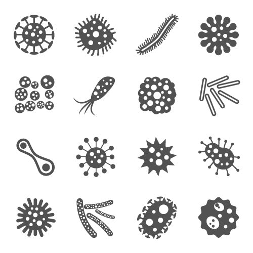 Schematische Darstellung von Keimen und Bakterien, wie sie sich laut Studien in stehendem Wasser von Kannenfiltern vermehren können.